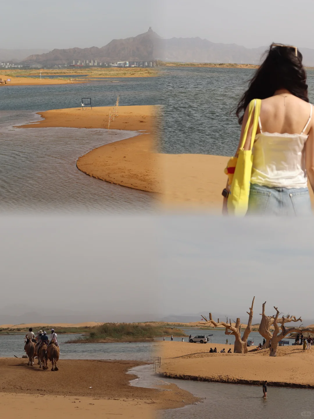 银川-阿拉善-乌海|🏜️🌌✨