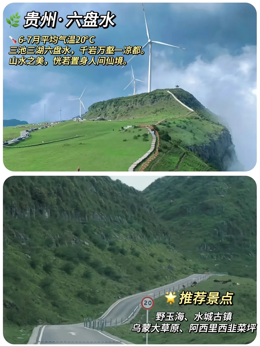 救命！这8个避暑地把夏天拿捏死了🍃