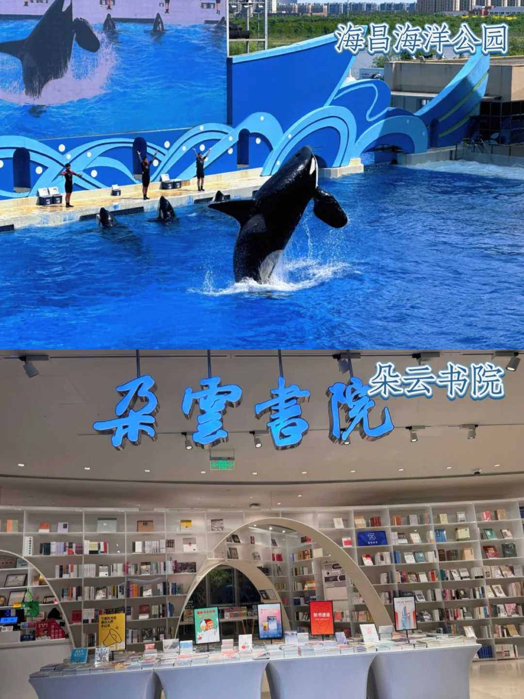 天呐‼️攻略来啦上海必去的16个景点攻略码住