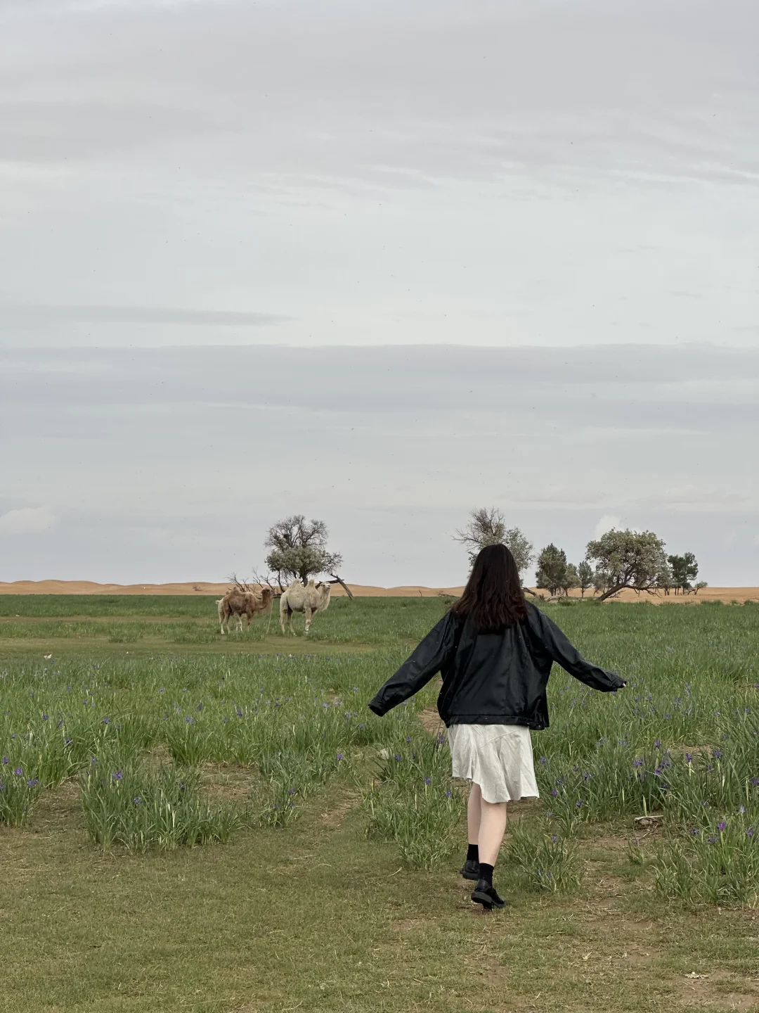 银川-阿拉善-乌海|🏜️🌌✨