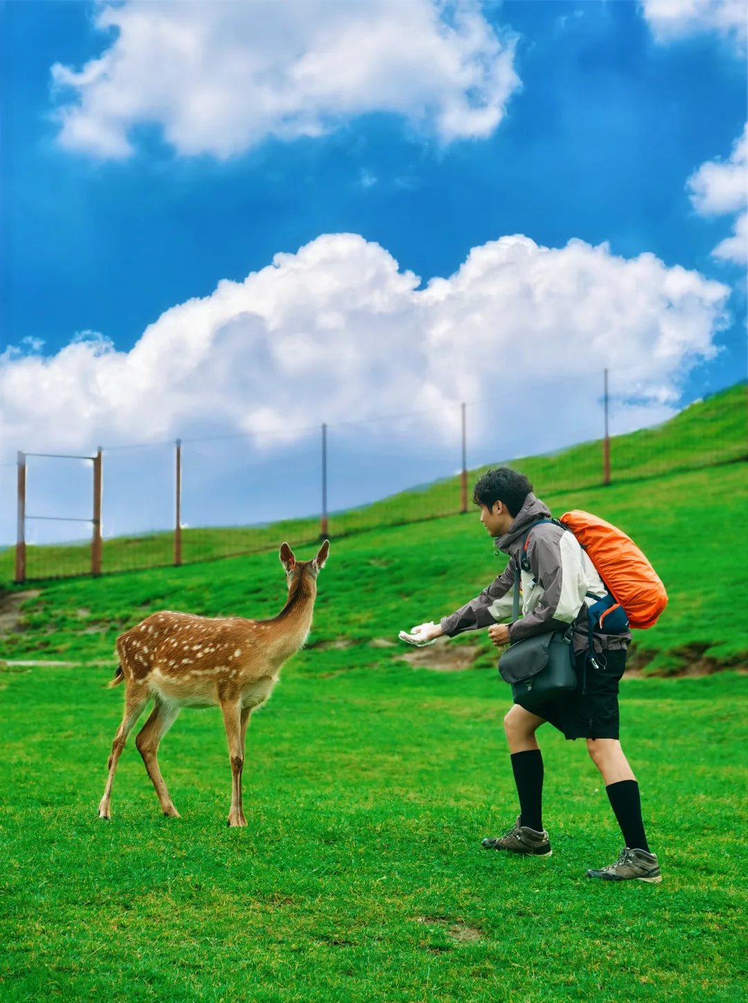 美哭了!我闯入湖南版宫崎骏的童话世界