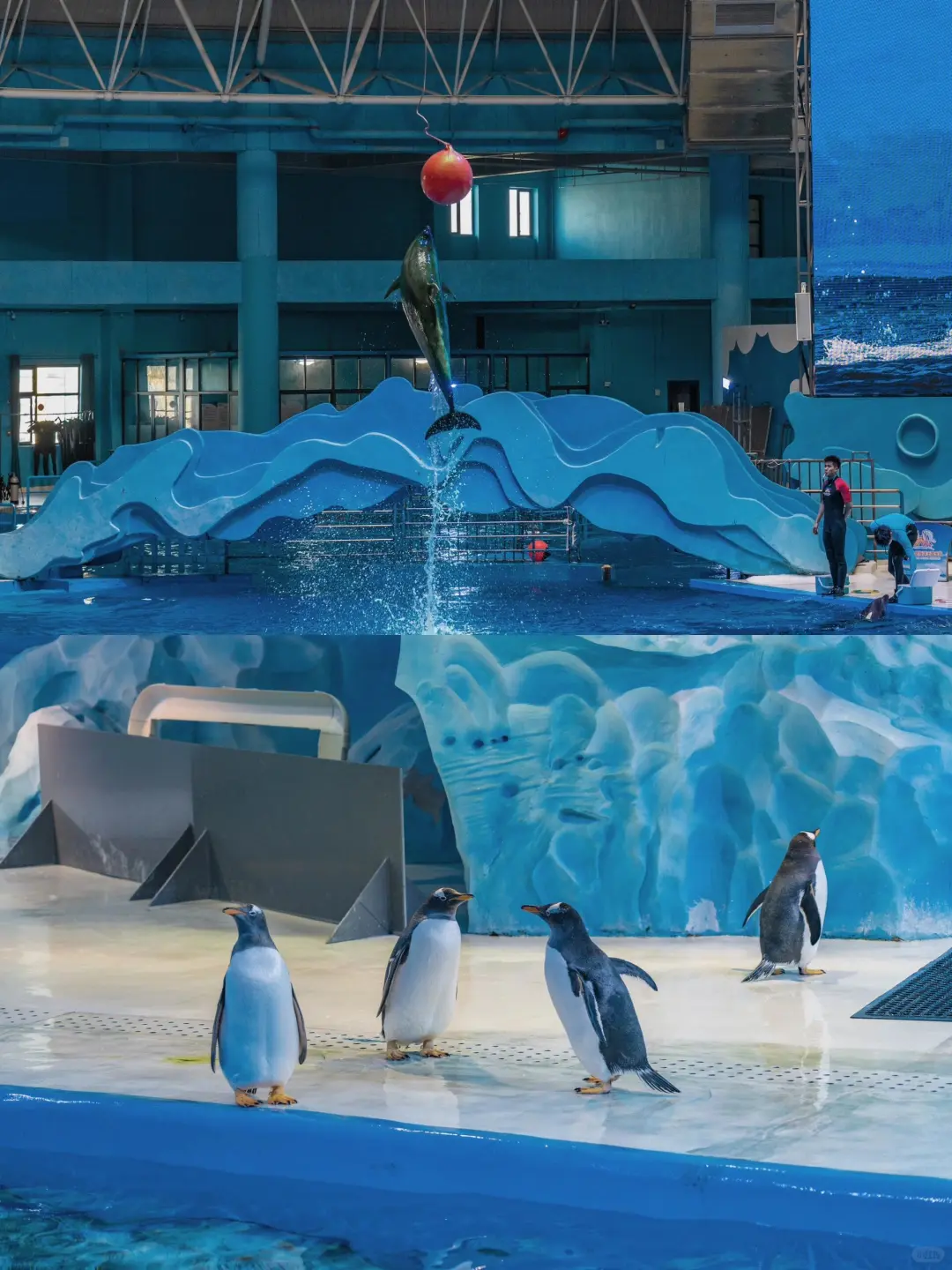 福建人嘴真严,这么好玩的游乐园现在才知道!