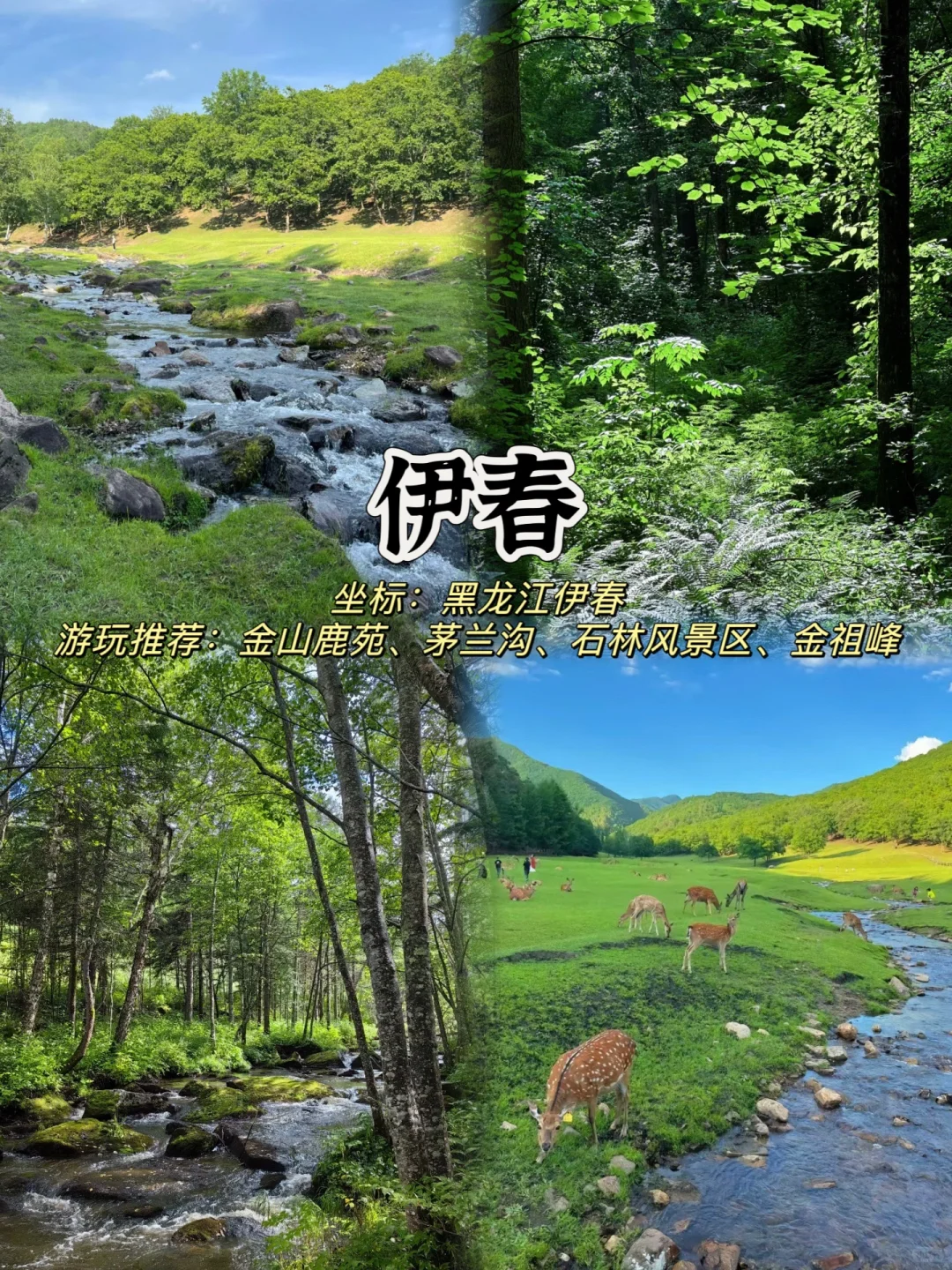 2024反向旅行❗️九个小众城市推荐❗️避开人潮