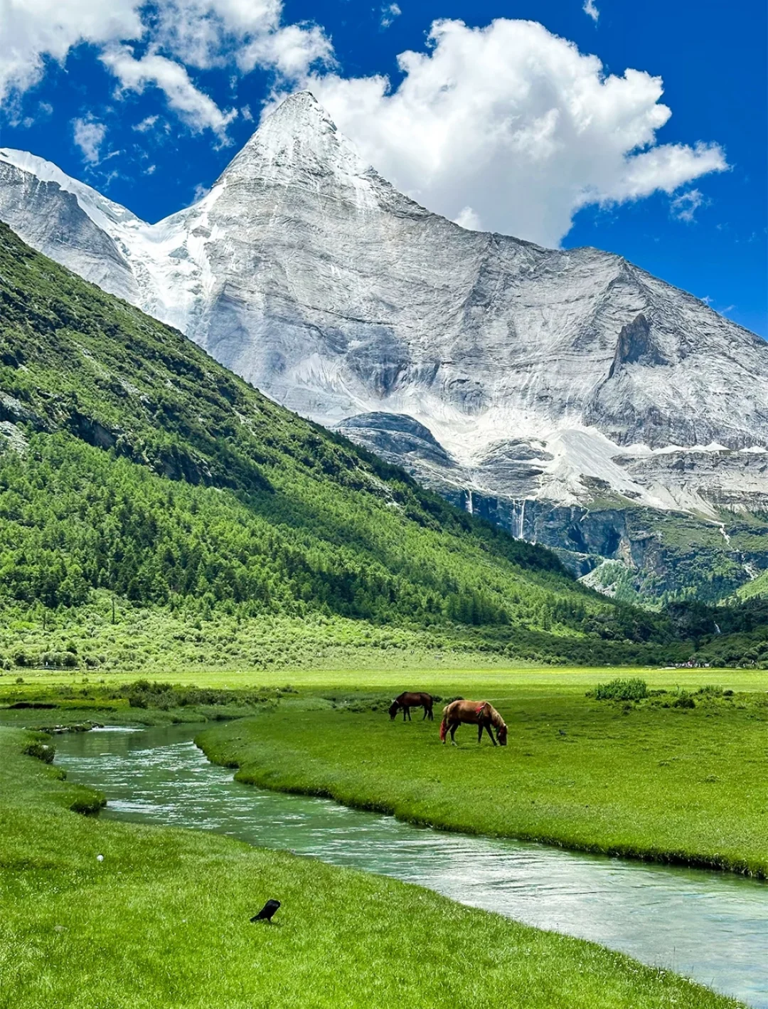 🌟高考结束撒欢去！必看这九个地方（附💰）