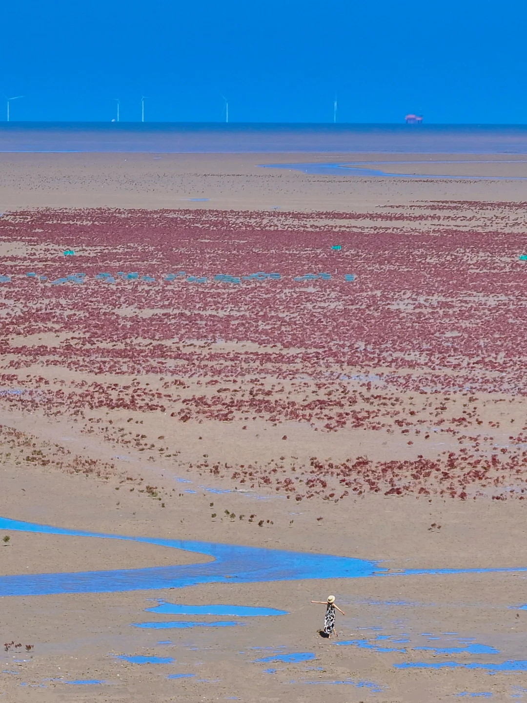 今年去过最冷门的城市！藏不住了！🌊