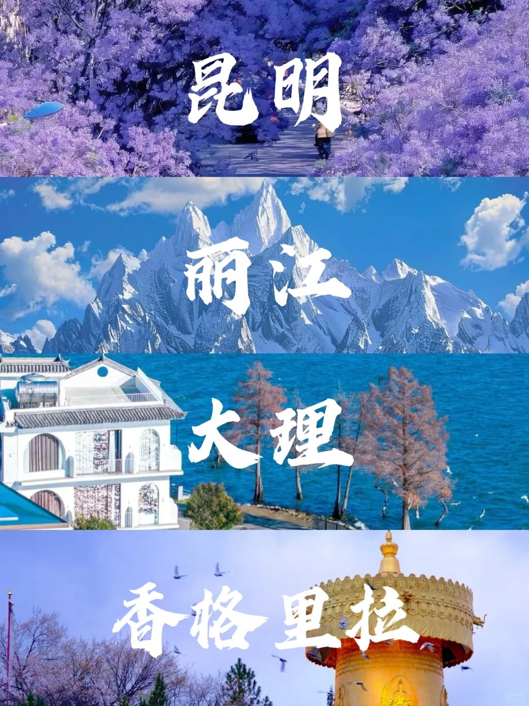 🗺️去有风的地方｜云南7天6晚保姆级攻略