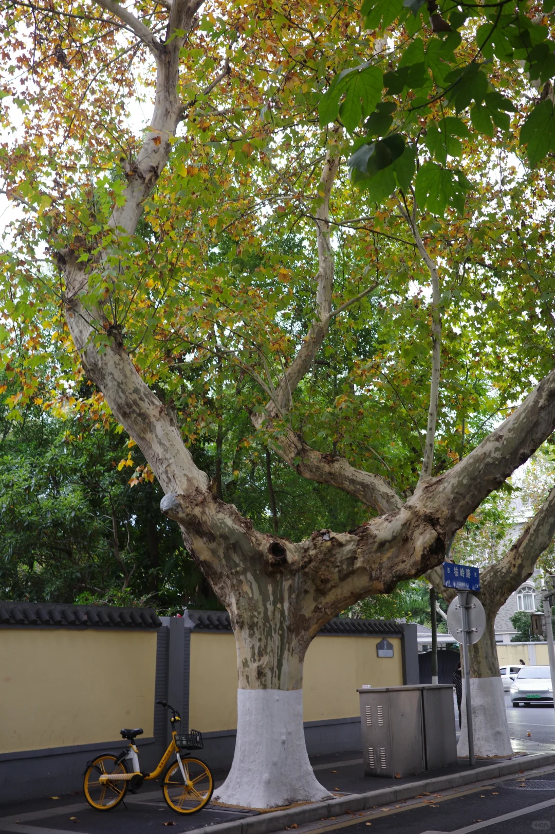 国内适合女生solotrip城市推荐（欢迎补充2