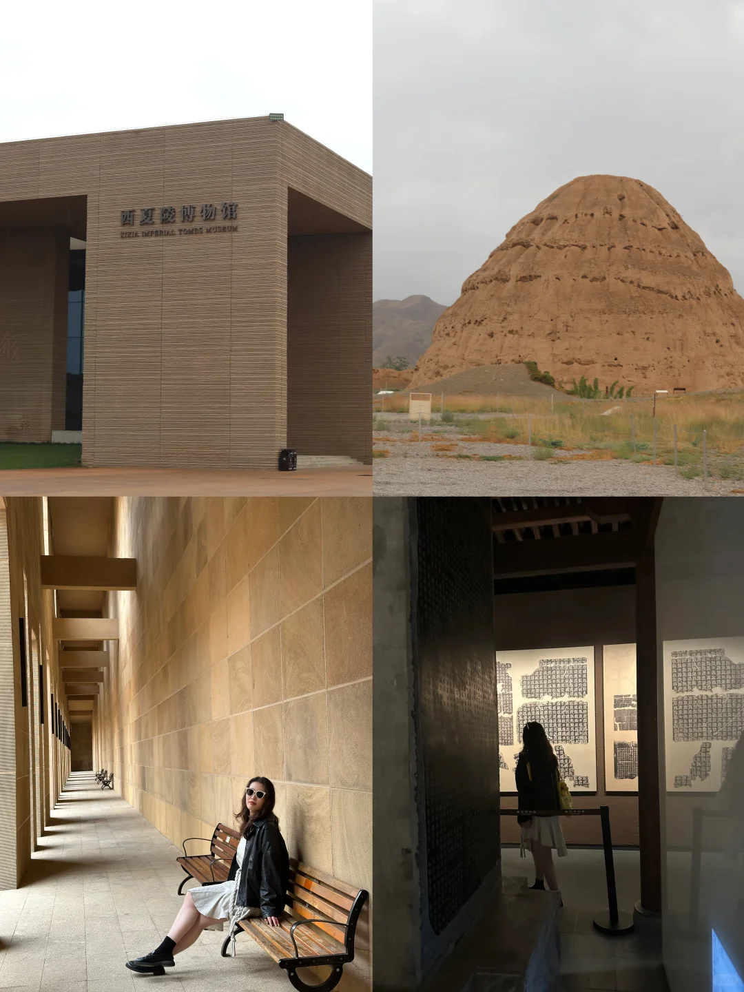 银川-阿拉善-乌海|🏜️🌌✨