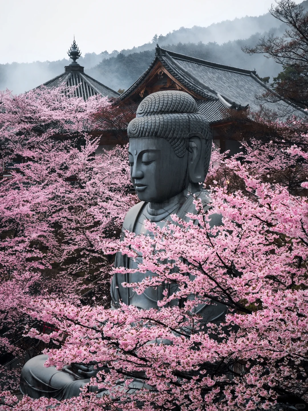 天啊‼️我很少用「震撼」形容一个地方‼️