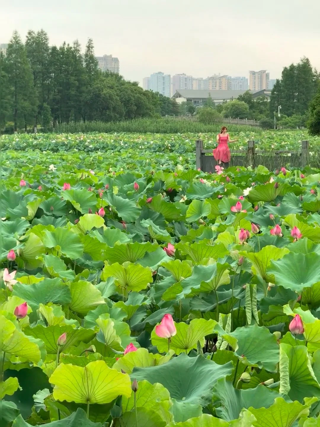 南昌已回🥺6-8月去南昌需慎重考虑