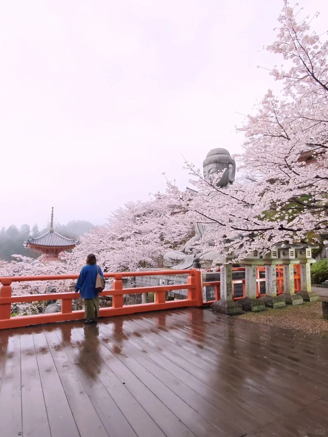 天啊‼️我很少用「震撼」形容一个地方‼️