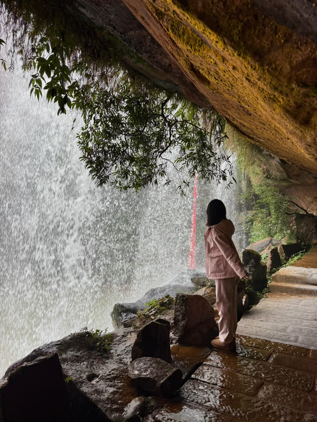 为了这一组live!我飞了一趟贵州!值得吗?