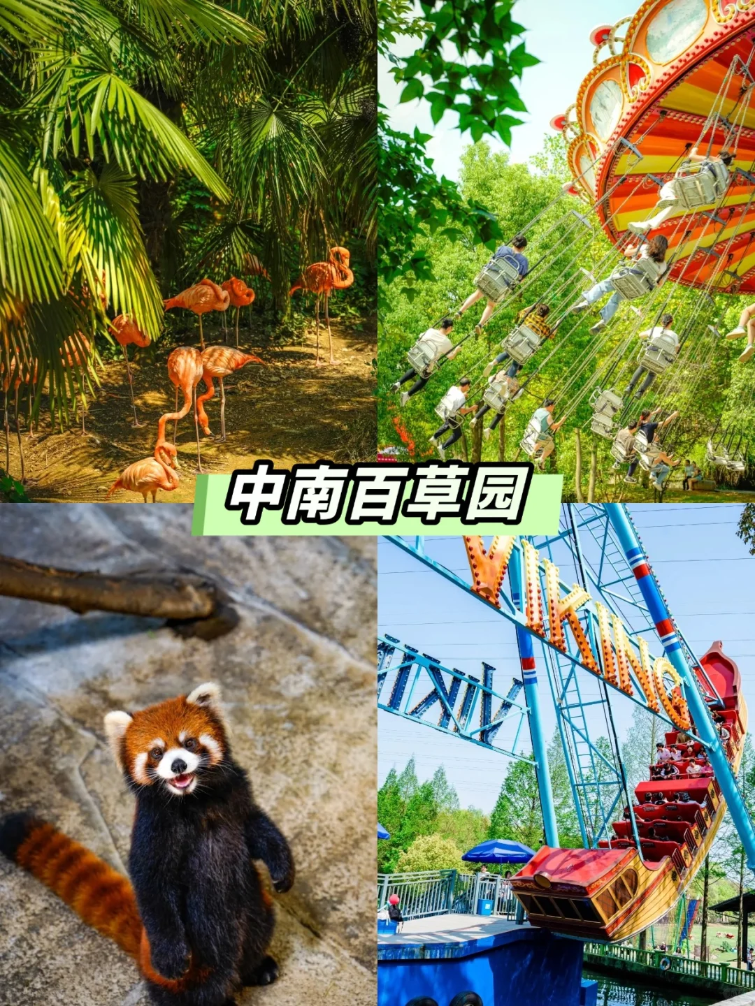 一篇看懂‼️安吉团建必玩景点合集