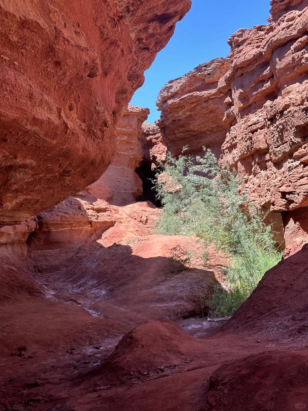 👽旅行日记【那天我第一次见到红色的湖】