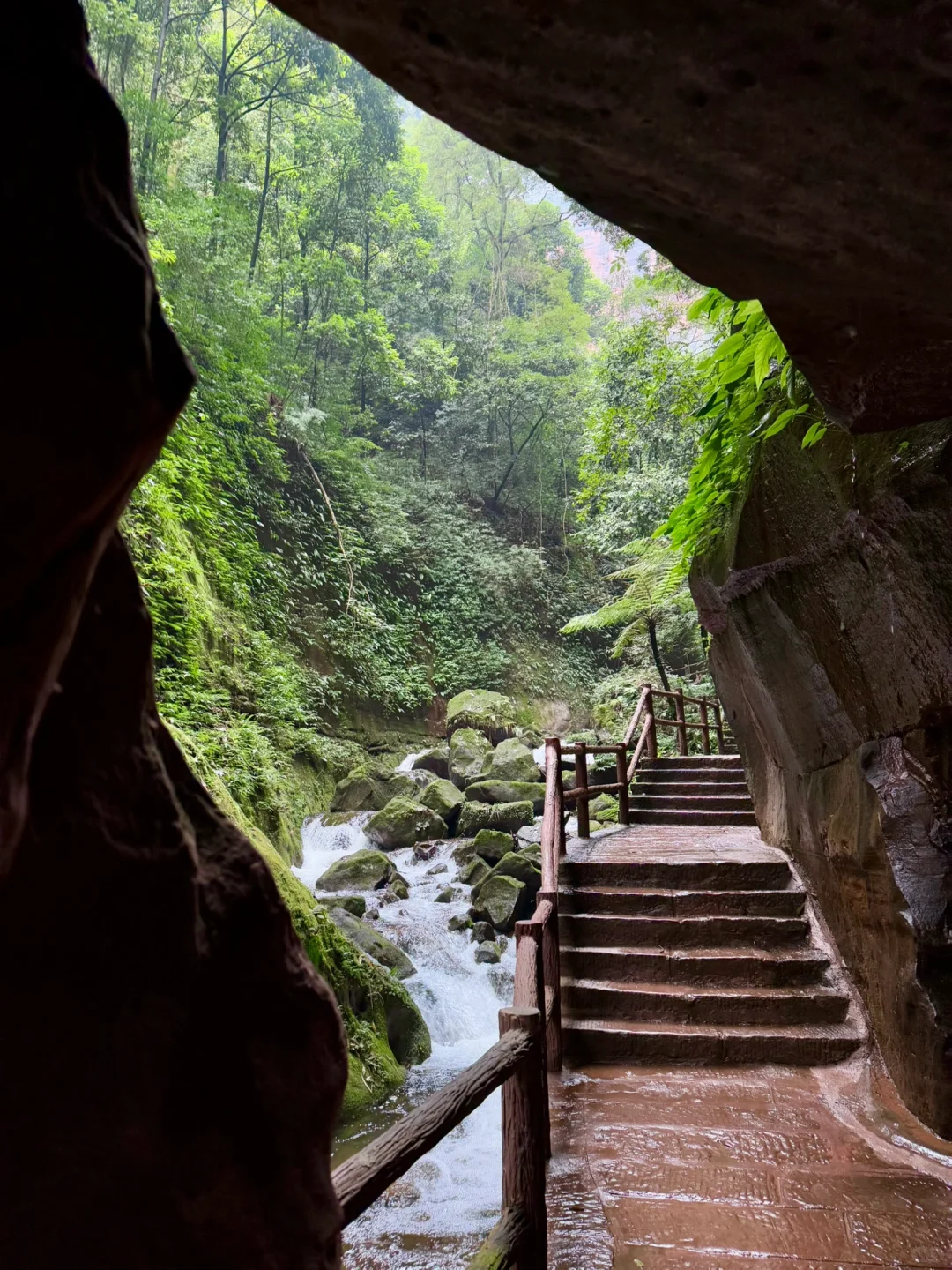 为了这一组live!我飞了一趟贵州!值得吗?