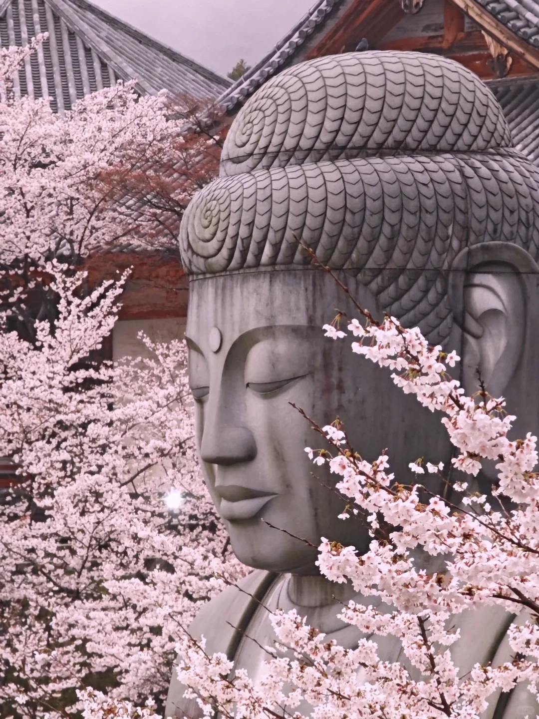 天啊‼️我很少用「震撼」形容一个地方‼️