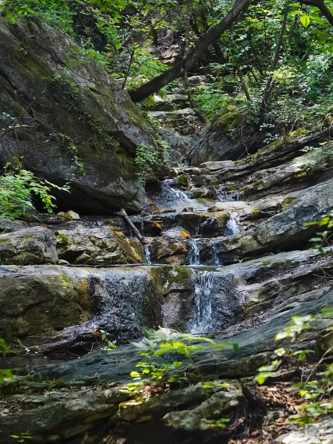 北京市区1.5h‼️小众高山飞瀑溯溪徒步路线