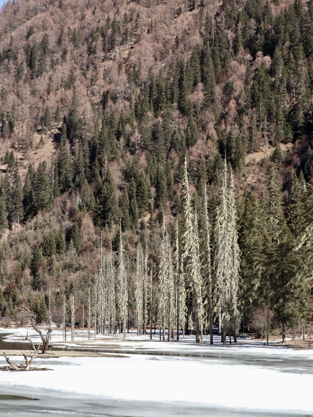 川西小环线 5天4晚 旅游攻略