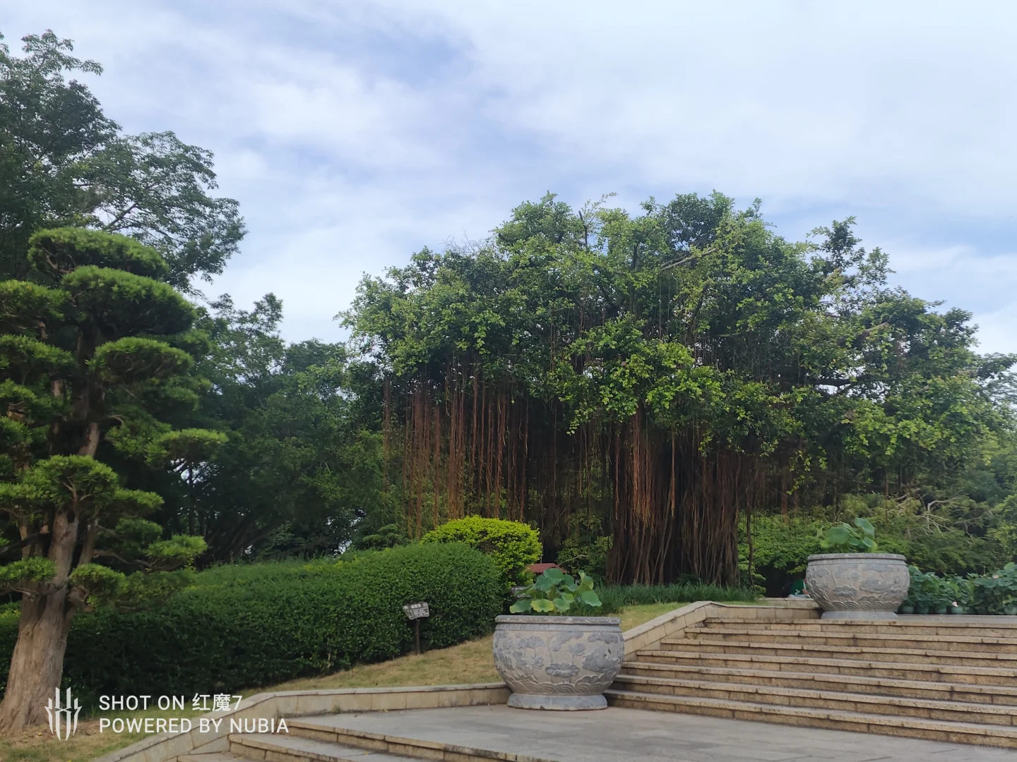 南宁行记（四）