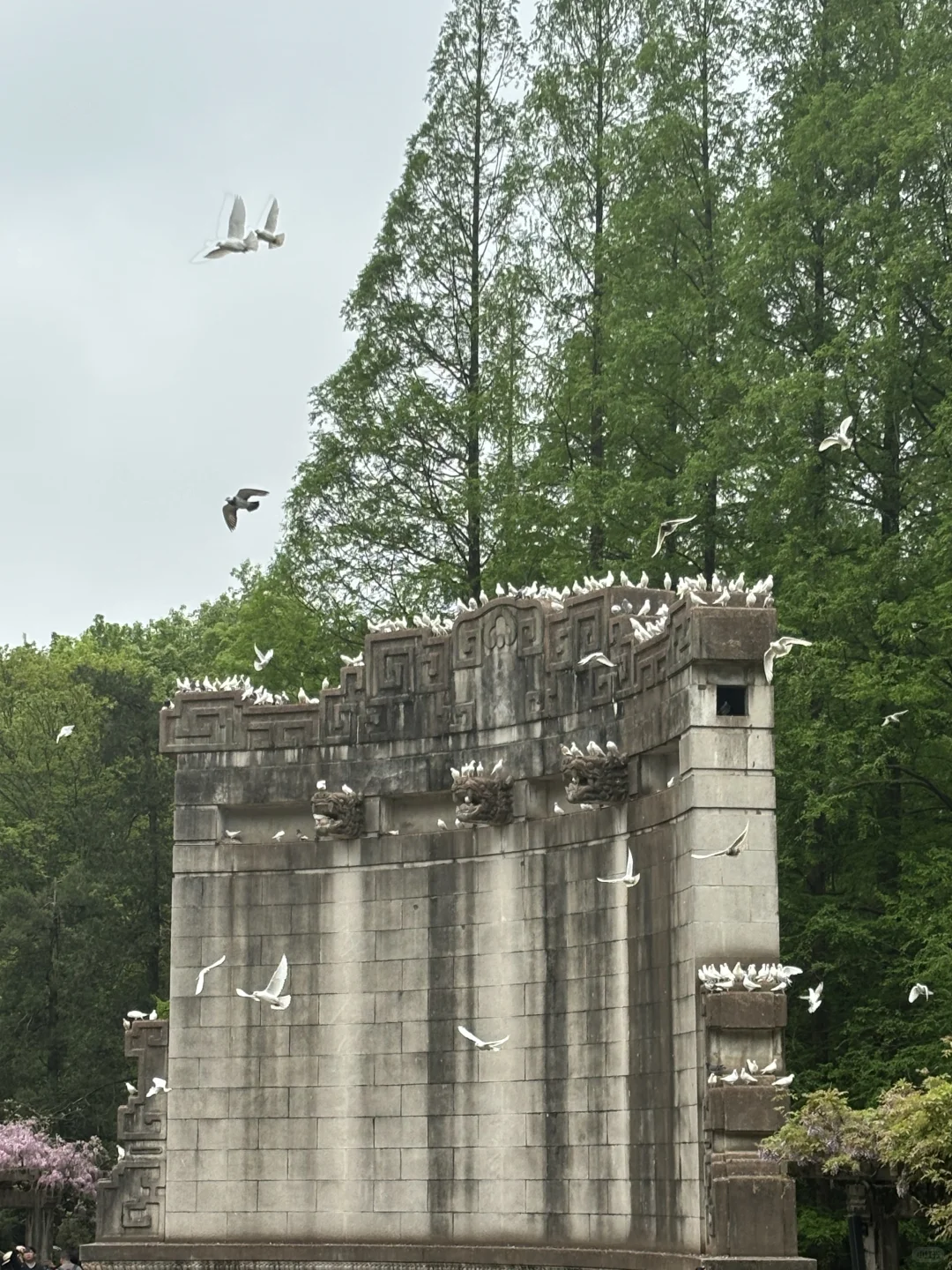 分享几个适合女生独自旅行的城市（实测版）
