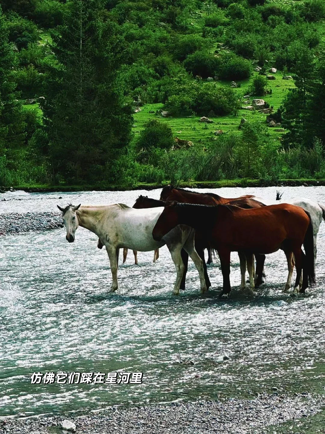 人生不过三万天，自由一天是一天🧚