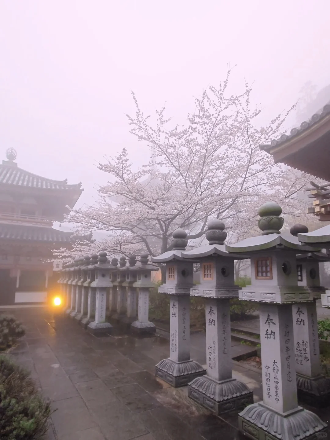 天啊‼️我很少用「震撼」形容一个地方‼️