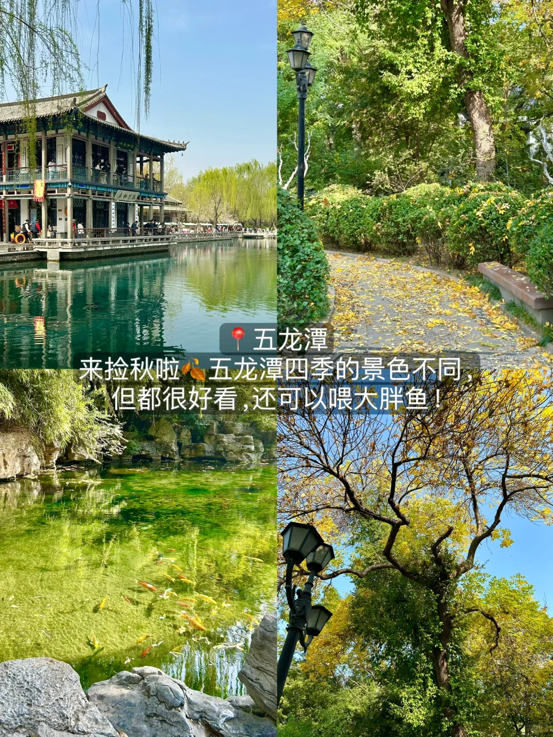 济南会惩罚每个不做攻略就来的人！！！