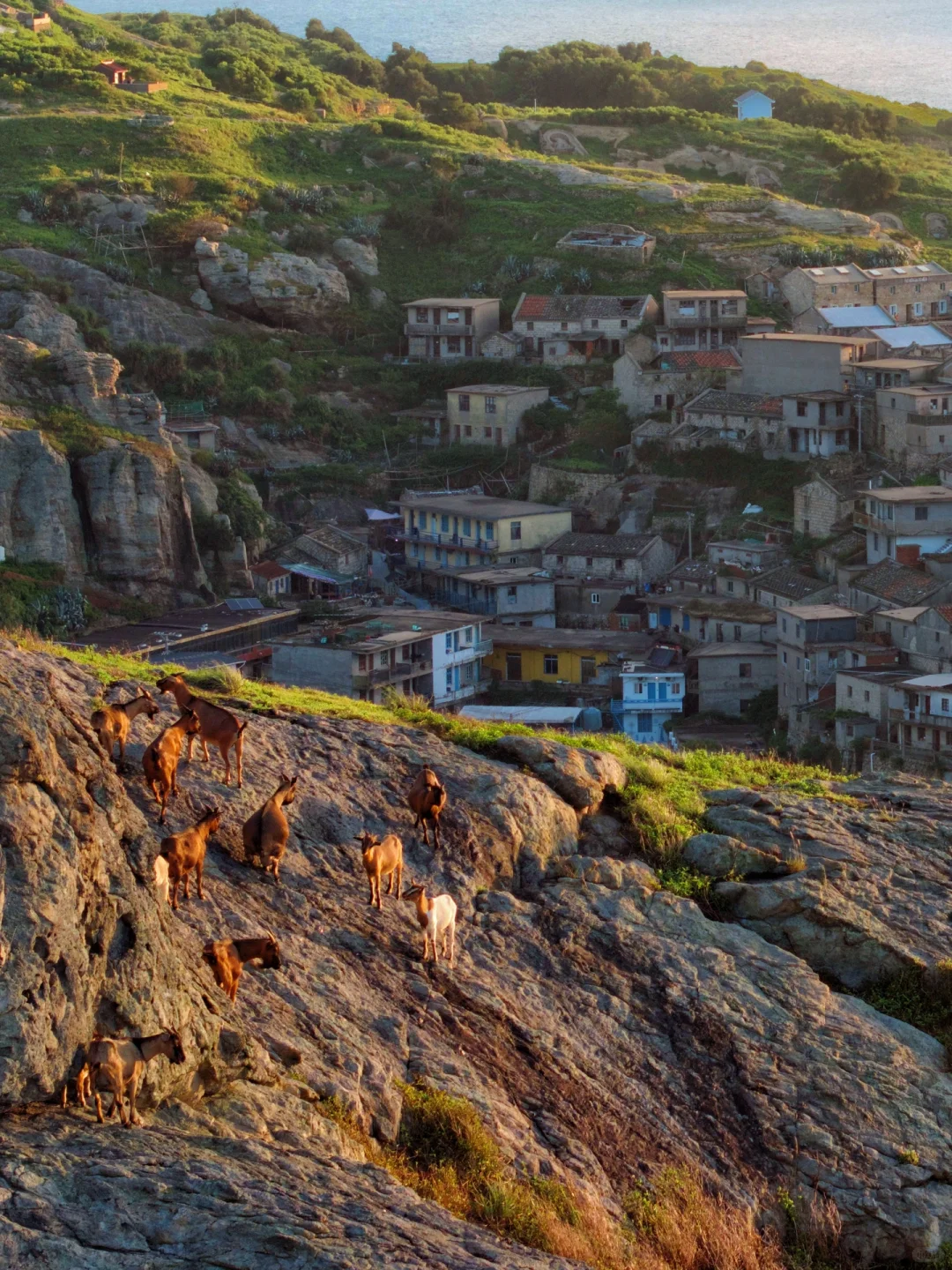 🔥国内再也找不出第二个的小众岛屿‼️