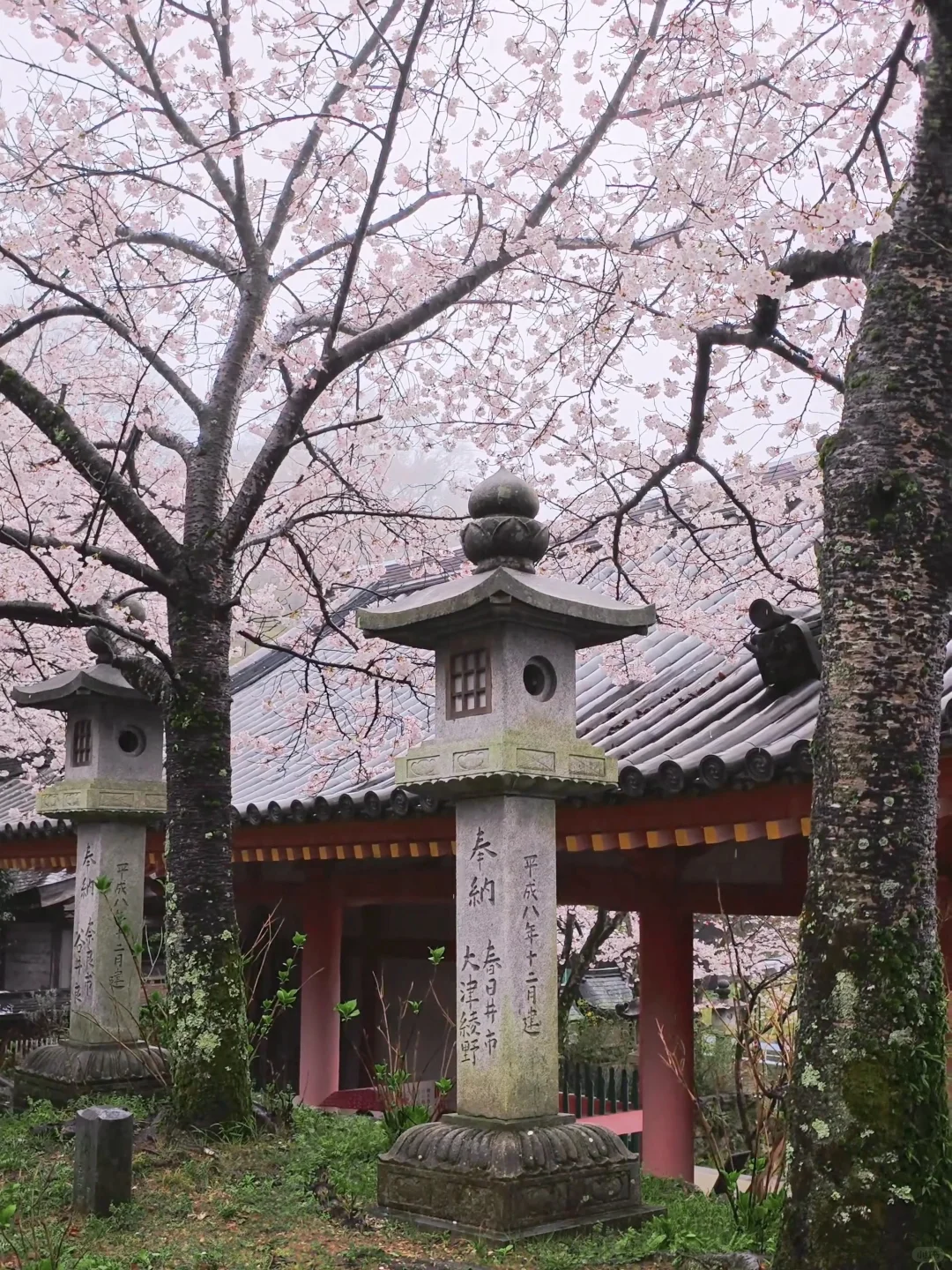 天啊‼️我很少用「震撼」形容一个地方‼️