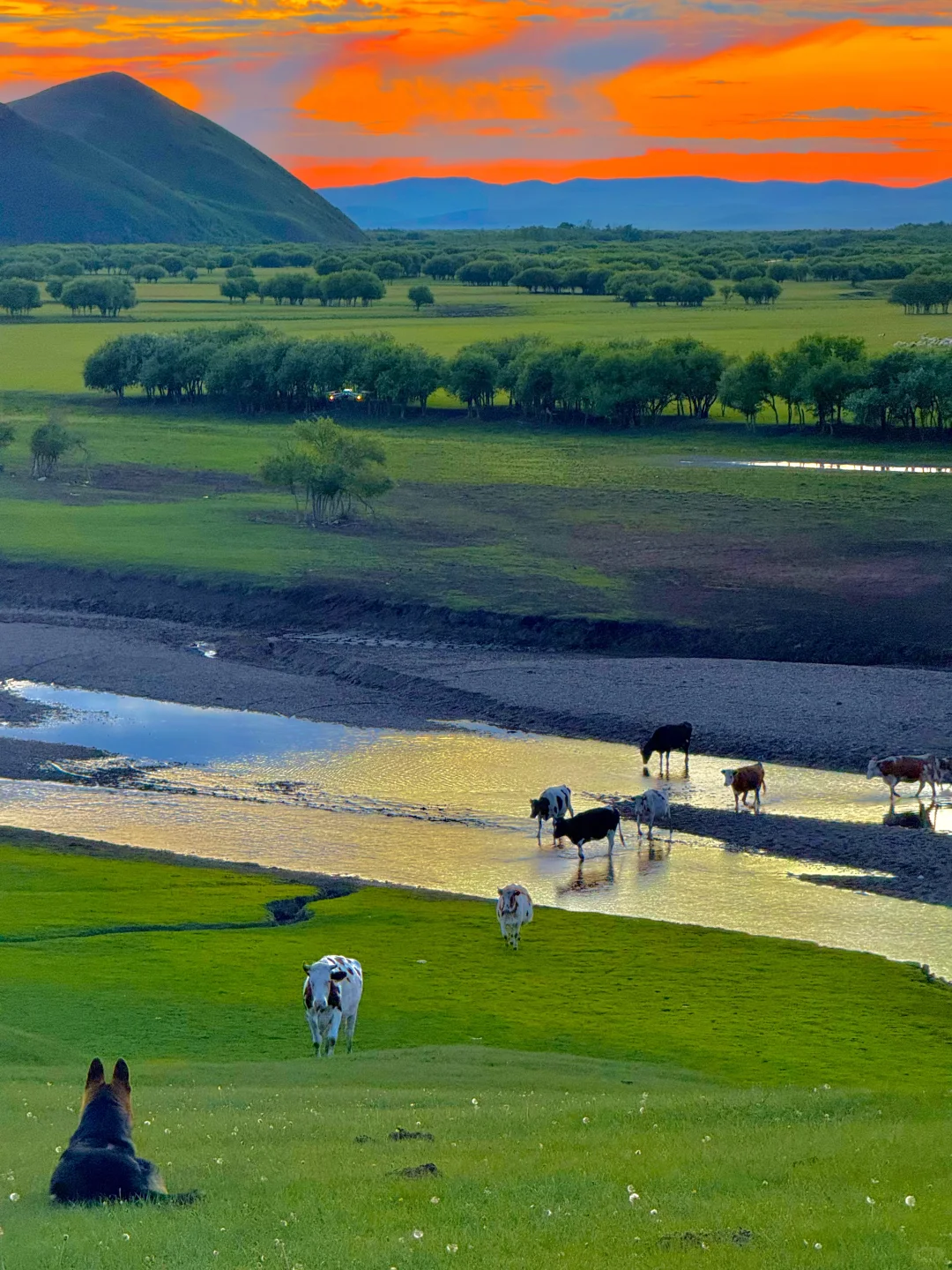 这才是live图的意义｜呼伦贝尔18个封神时刻