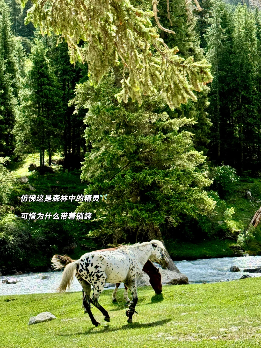 人生不过三万天，自由一天是一天🧚