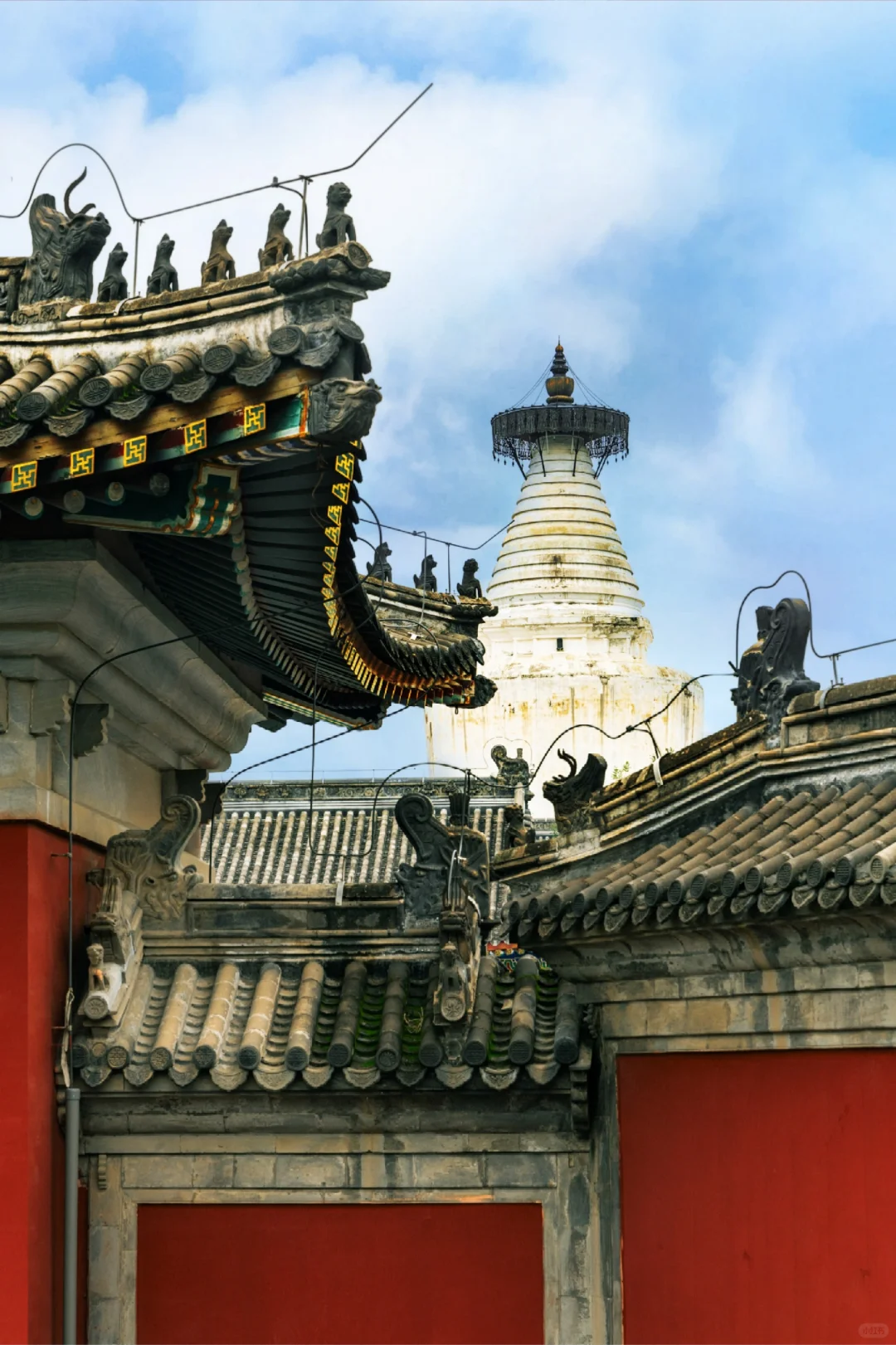 北京会惩罚每一个不提前预约的P人...