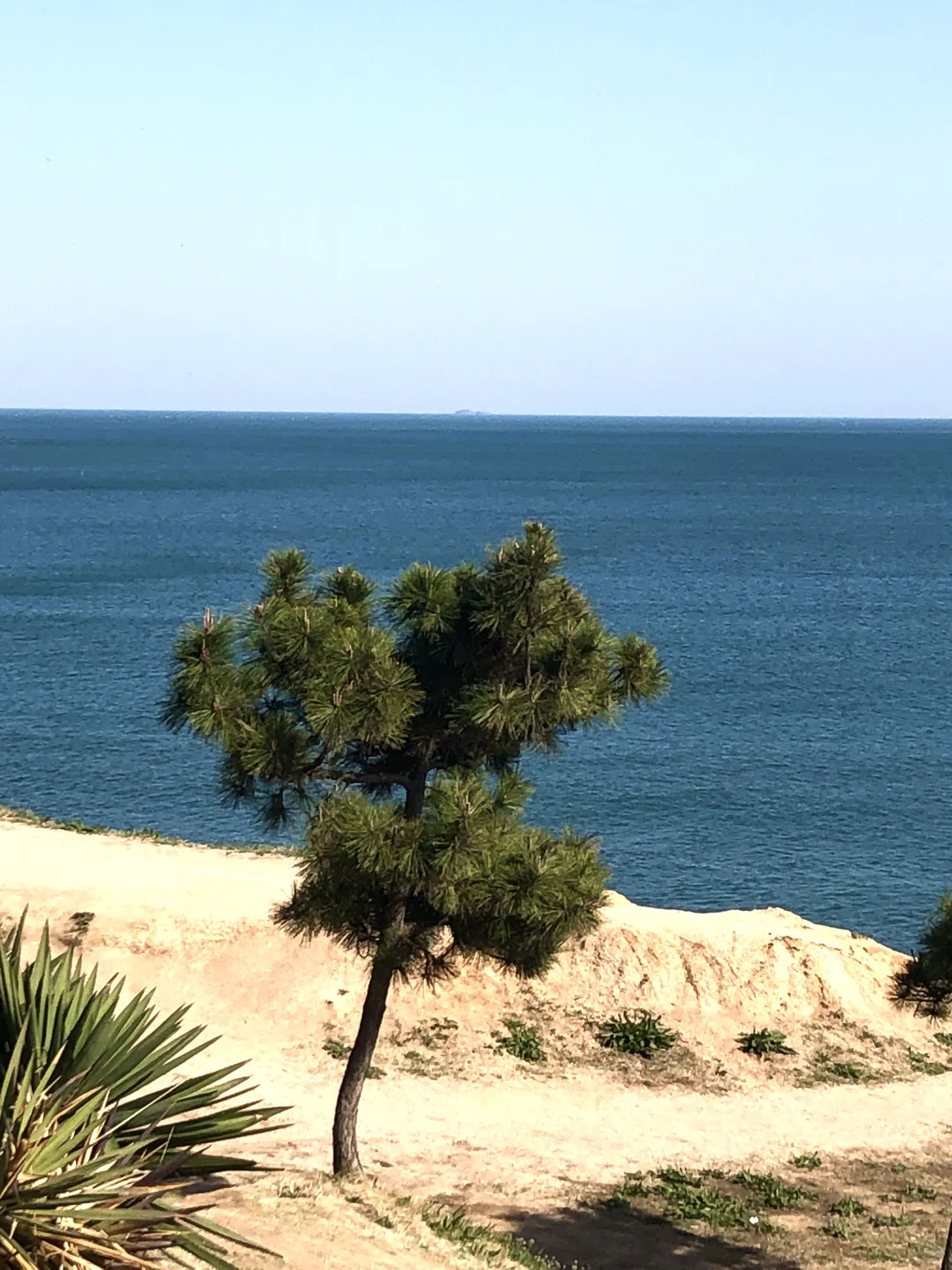 国内适合女生solotrip城市推荐（欢迎补充2