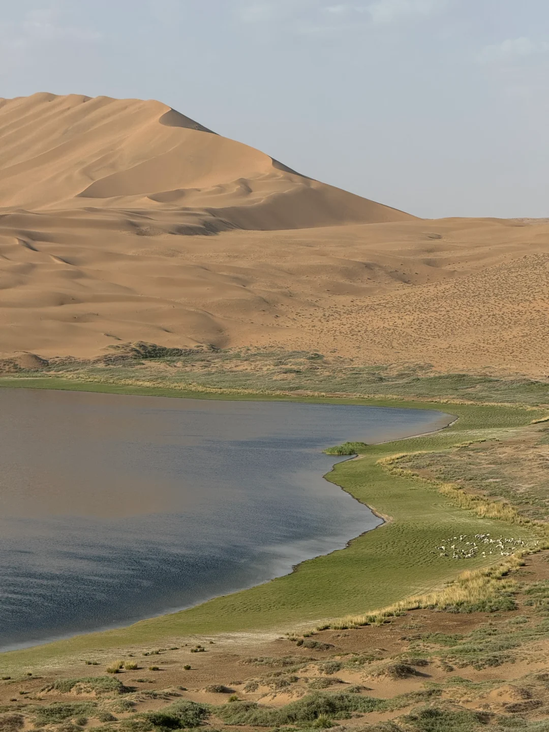 迄今为止,我最喜欢的沙漠出现了~