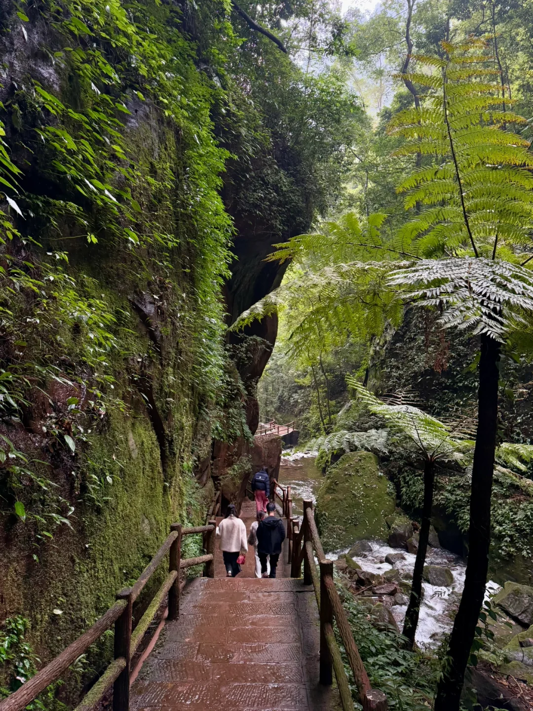 为了这一组live!我飞了一趟贵州!值得吗?