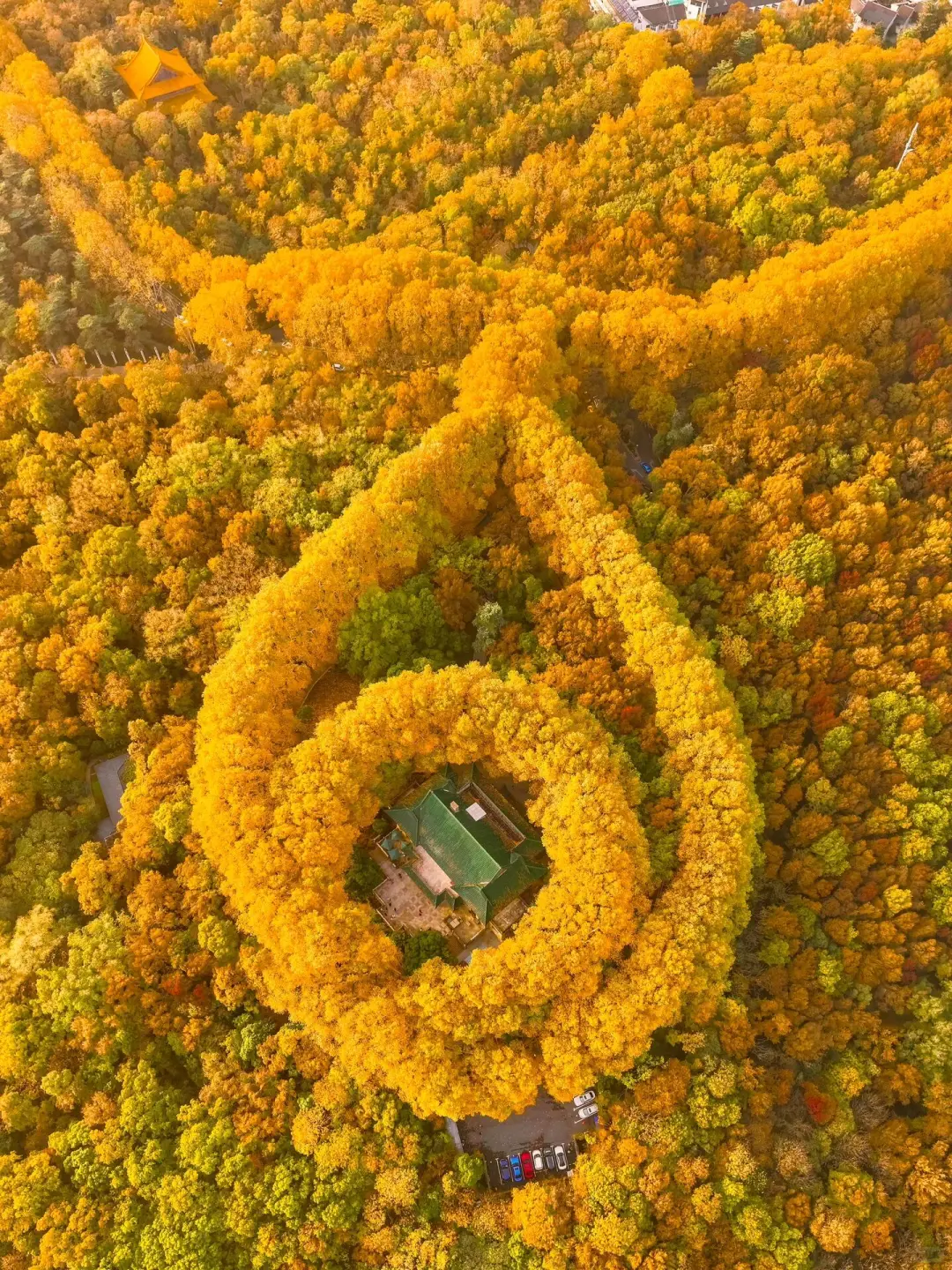 推荐🔟个国内宝藏赏秋地，真的不输国外……