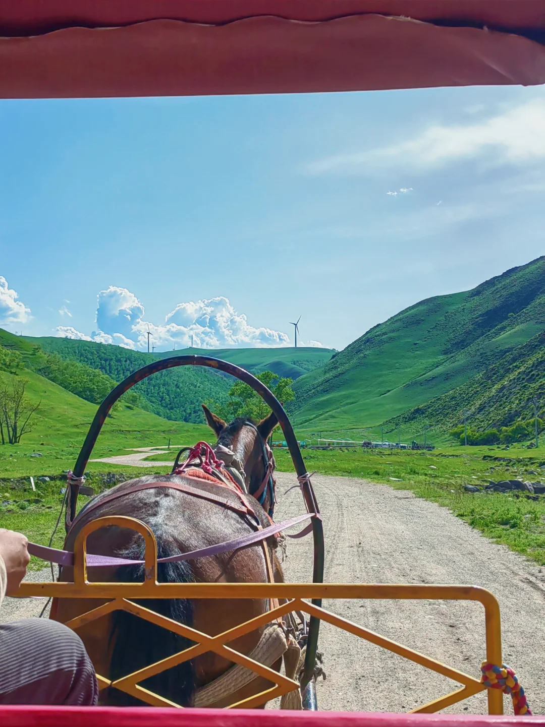 旅游攻略 | 乌兰察布的初夏