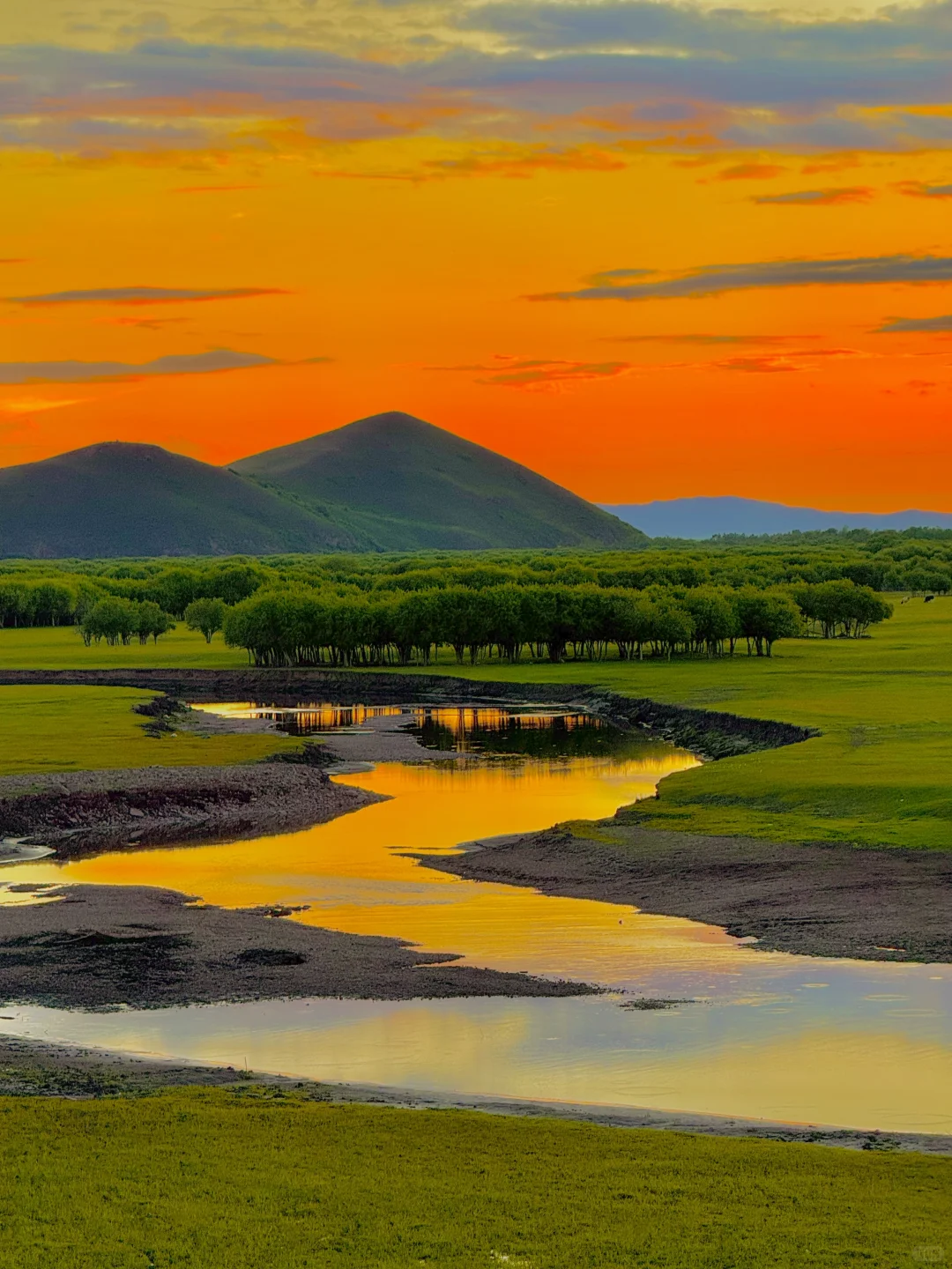 这才是live图的意义｜呼伦贝尔18个封神时刻