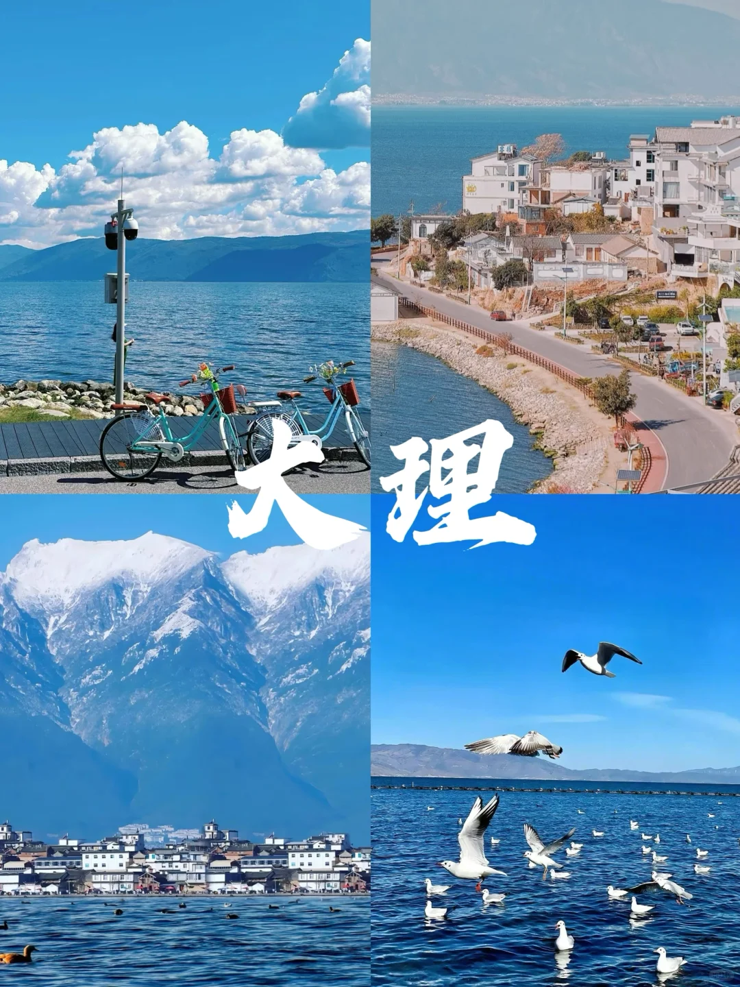 🗺️去有风的地方｜云南7天6晚保姆级攻略