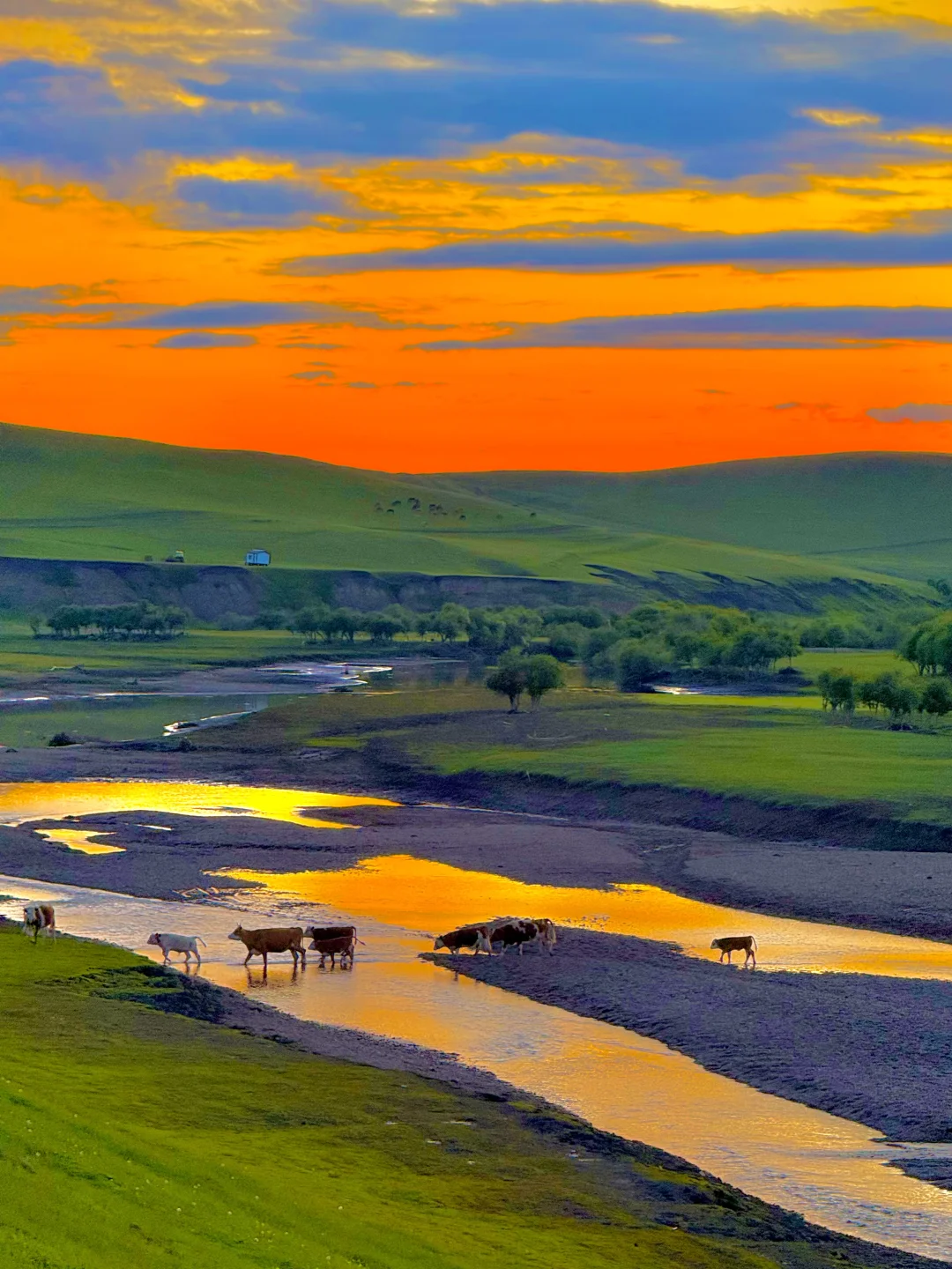 这才是live图的意义｜呼伦贝尔18个封神时刻