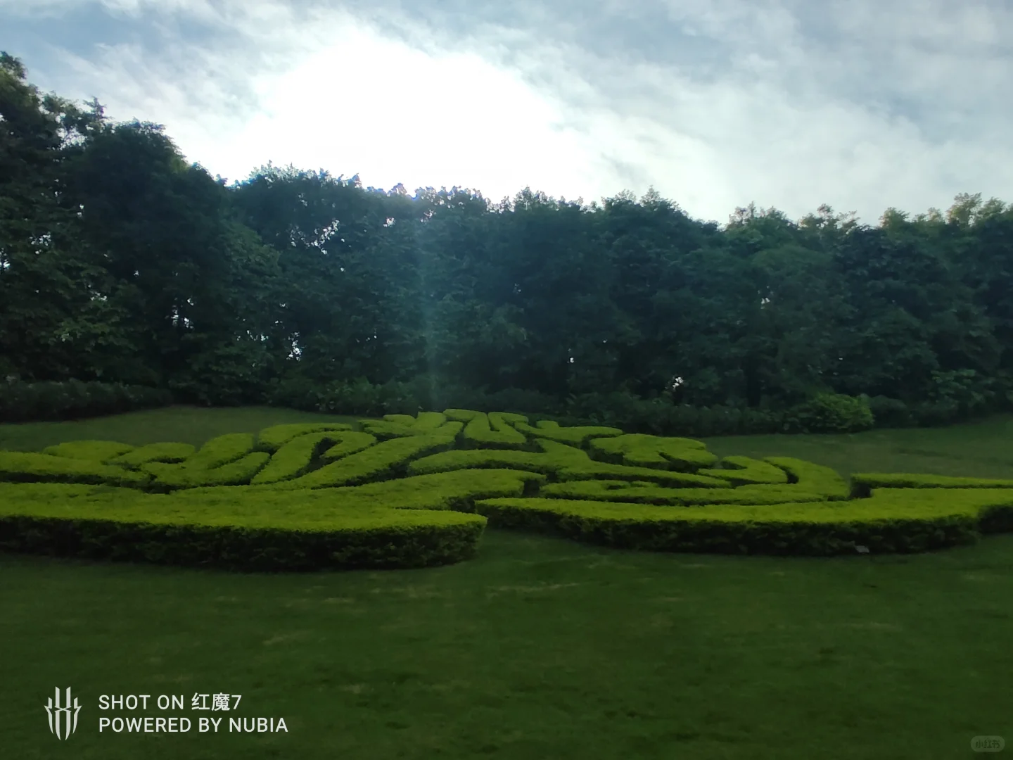 南宁行记（四）