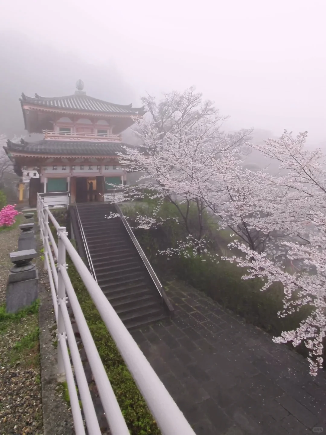 天啊‼️我很少用「震撼」形容一个地方‼️