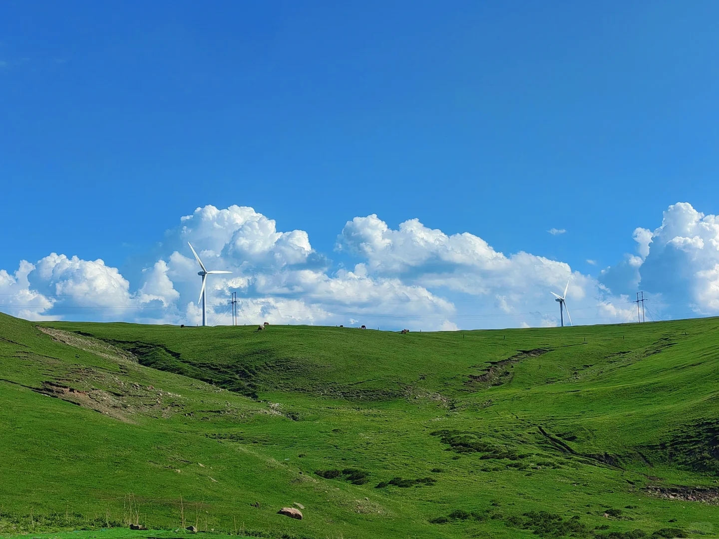 旅游攻略 | 乌兰察布的初夏