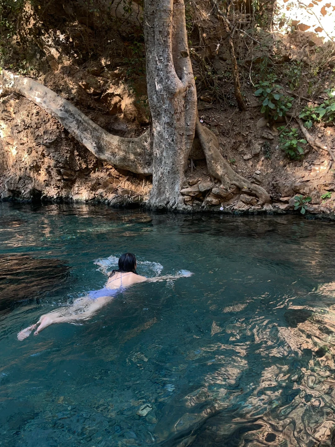 一条足够野的泡汤路线，腾冲芒市之旅