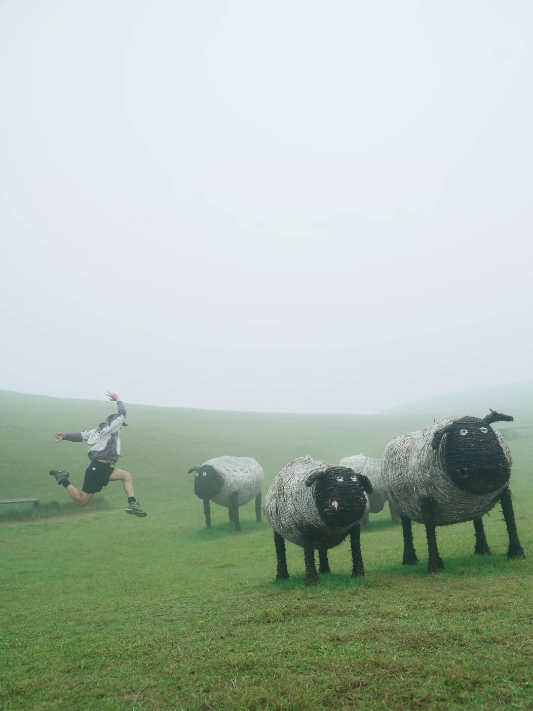 美哭了!我闯入湖南版宫崎骏的童话世界