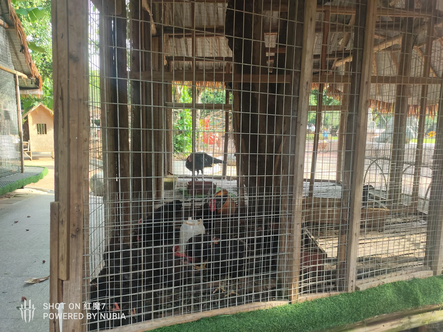 南宁行记（四）