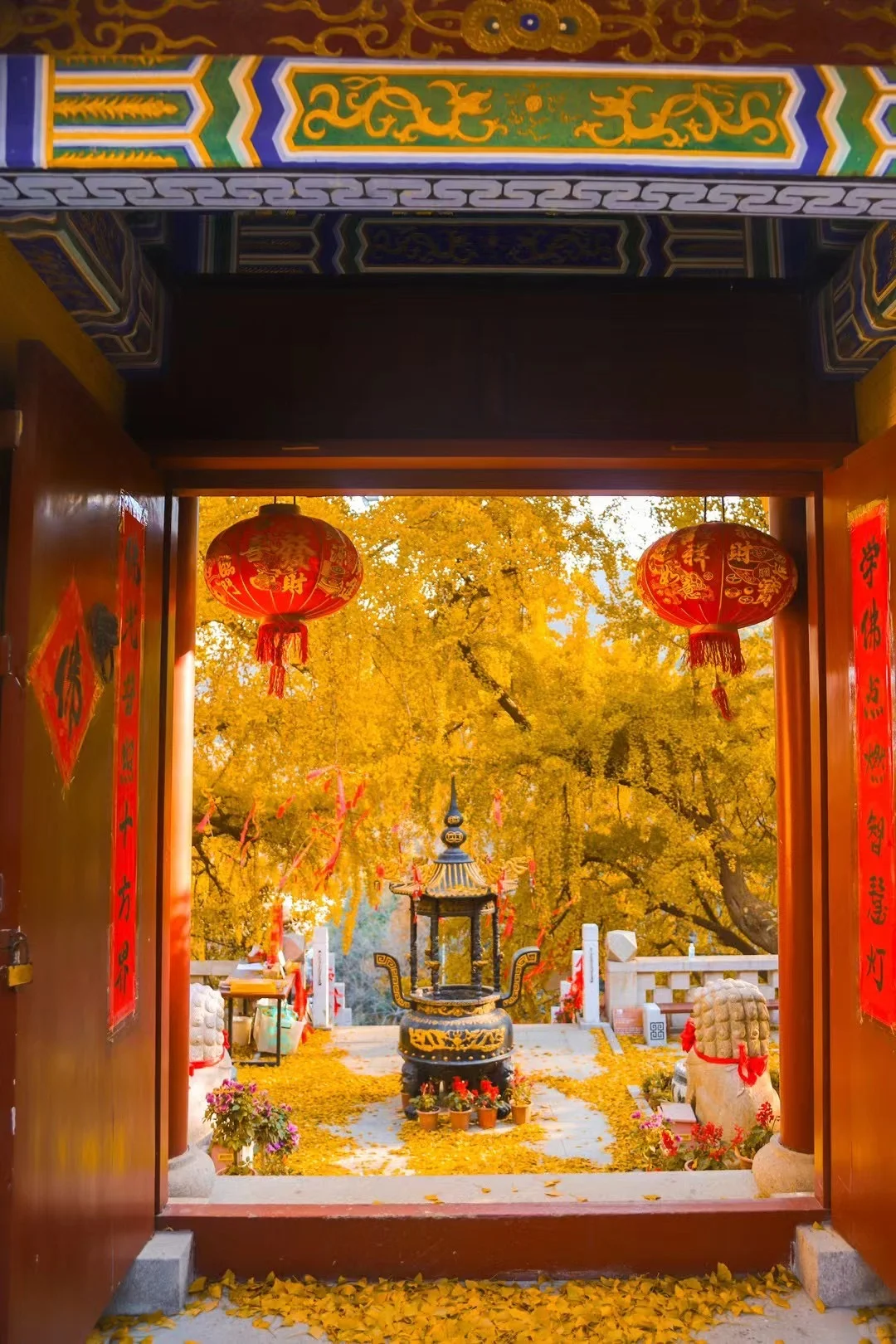 推荐🔟个国内宝藏赏秋地，真的不输国外……