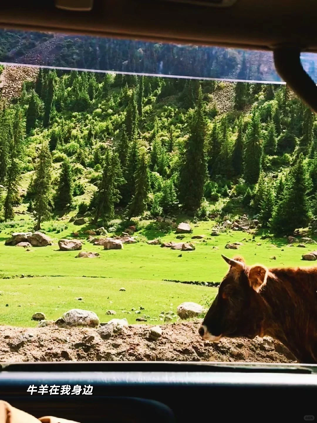 人生不过三万天，自由一天是一天🧚