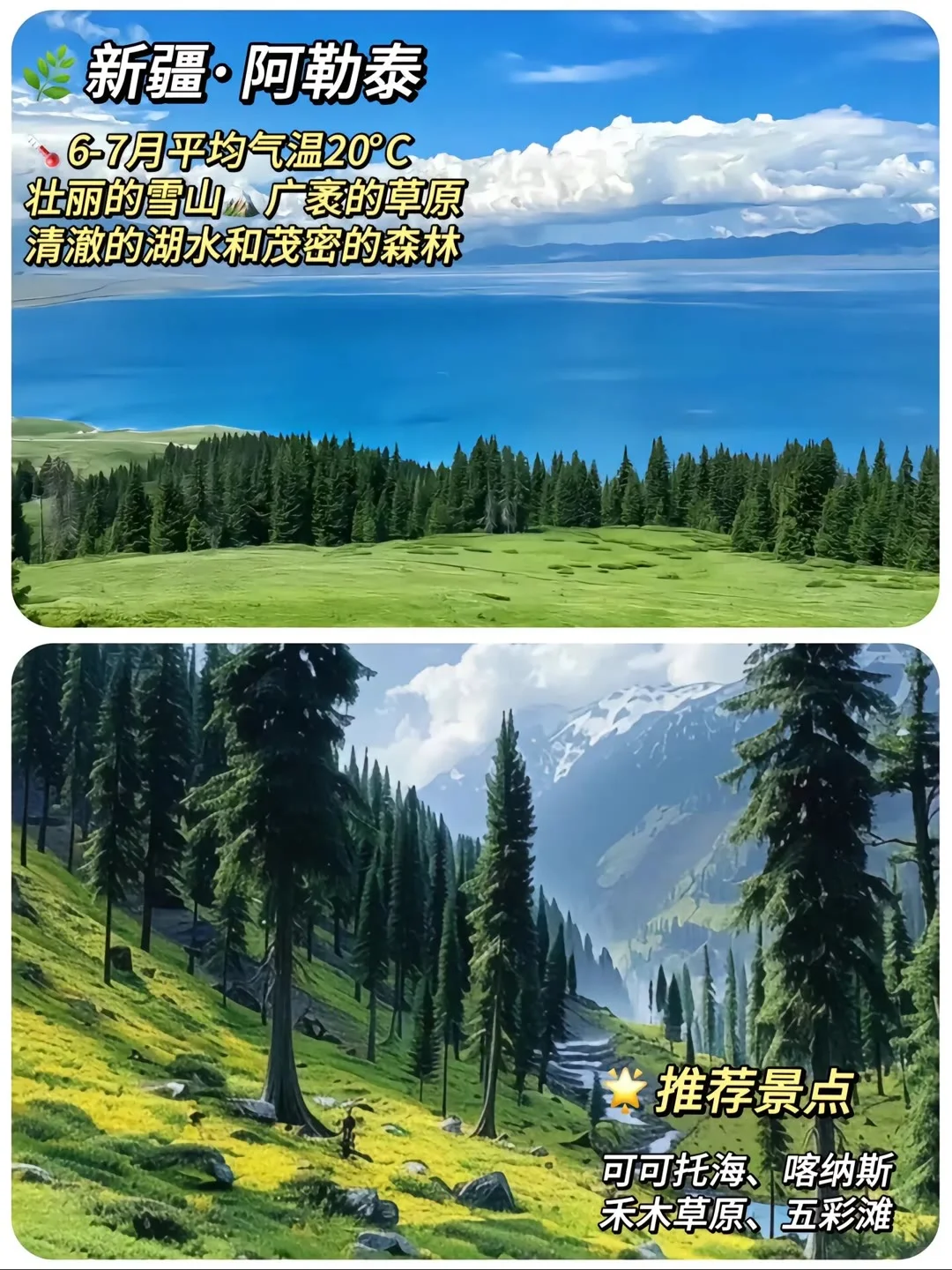 救命！这8个避暑地把夏天拿捏死了🍃