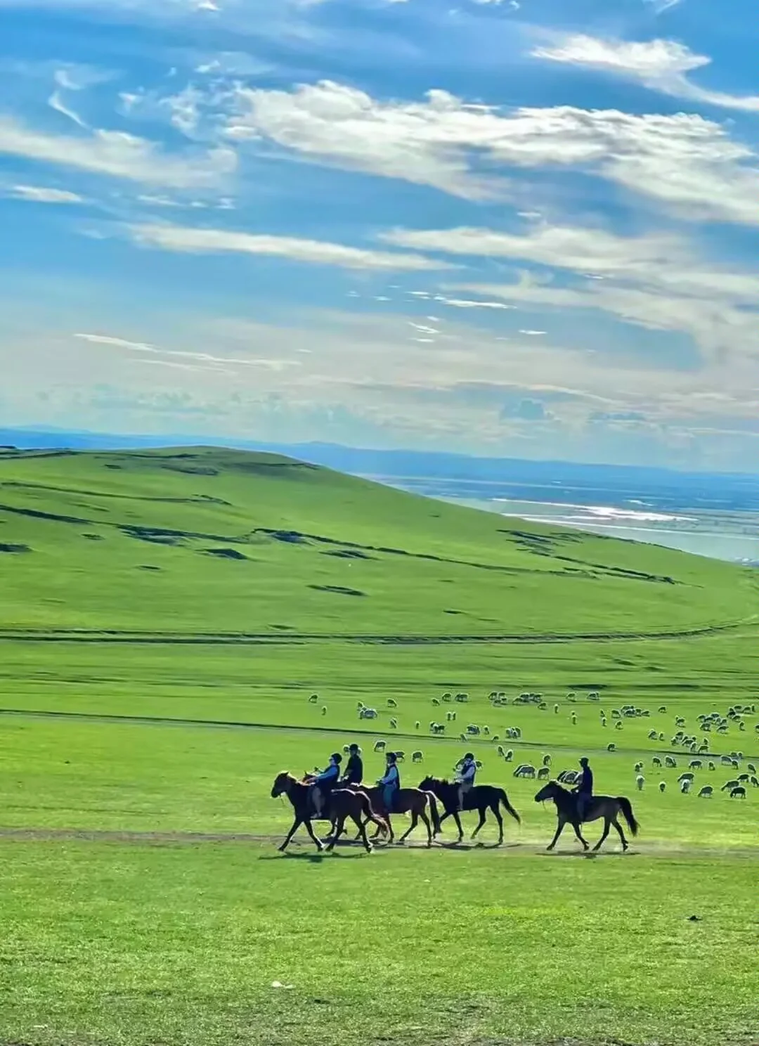 🔥国内8大避暑圣地终极PK!你pick谁